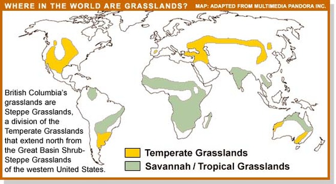temperate grassland map 2022